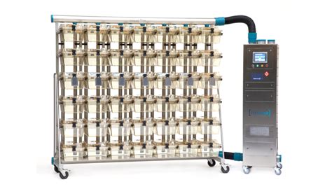 IVC Solutions for Rodents - Analysis