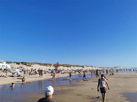 Urine in case of a jellyfish contact? Big mistake - Game News 24