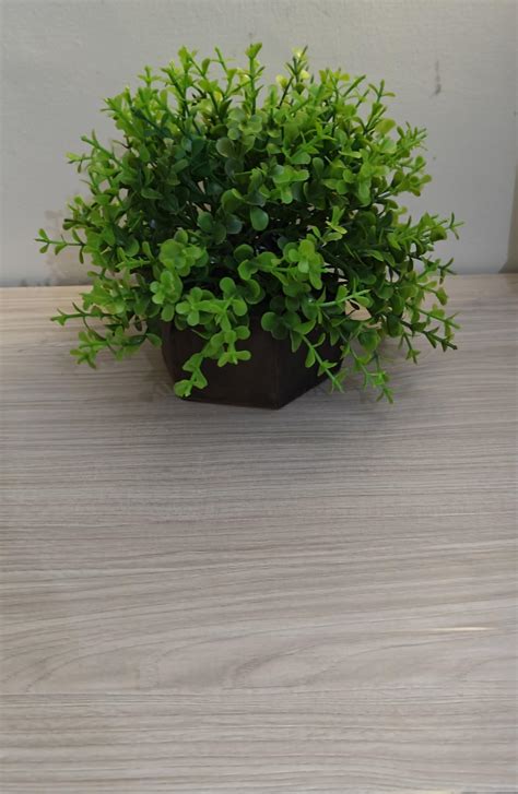 Buy Dekorly Artificial Plants Wooden Potted Plastic Fake Green Plant ...