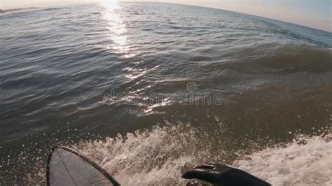 Surfing 的图像结果