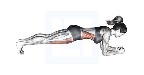 Image result for Side Plank Variations