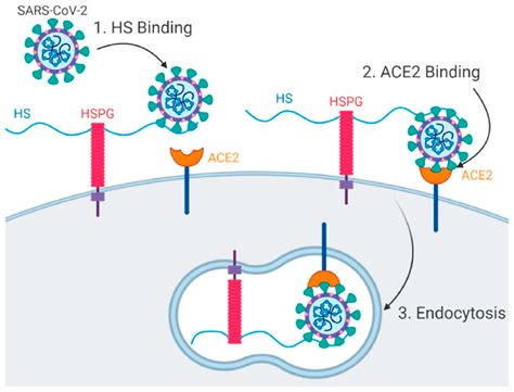 Current Trends in SPR Biosensing of SARS-CoV-2 Entry Inhibitors