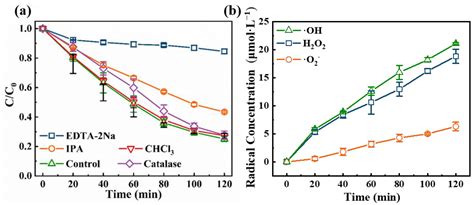 Synergistic Photoelectrocatalytic Degradation of Tetracycline Using ...