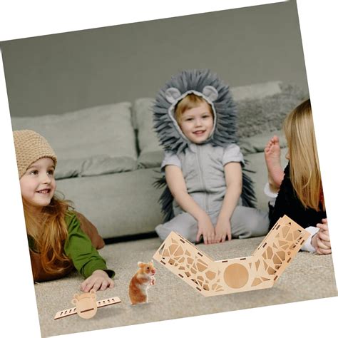 Buy Balacoo 2 Sets Wooden Ladder Practical Funny Hamster Hut Tube Rats ...