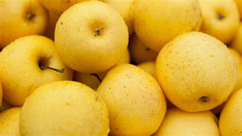 Carrot Glycemic Index, Nutrition Facts | Curex