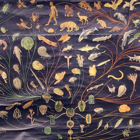 Evolution Over Time Graph 的图像结果