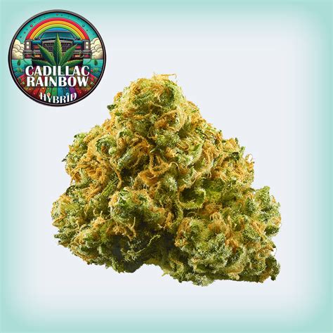 Cadillac Rainbow THCa Flower - Premium Hemp Strain for Potency & Flavor – Island Roots