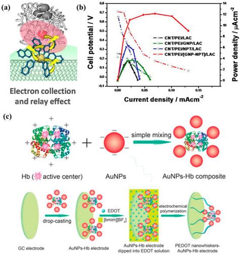 Research Progress in Enzyme Biofuel Cells Modified Using Nanomaterials ...