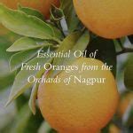 Top 20 Benefits of Orange Essential Oil: Uses for Skin and Hair - Kama ...