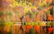 Fall Computer Wallpaper Backgrounds by Free Fall Backgrounds Desktop Wallpaper Cave Fall Computer Wallpaper Backgrounds