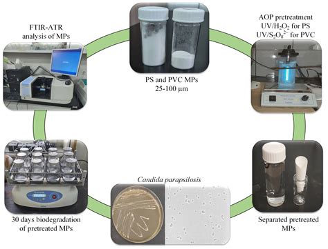 The Potential of AOP Pretreatment in the Biodegradation of PS and PVC ...