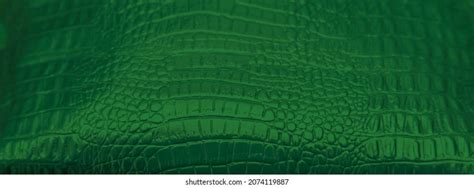 Image result for Python Learning Banner