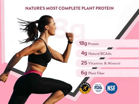 Buy Wellbeing Nutrition Her Superfood Plant Protein Powder For Women ...