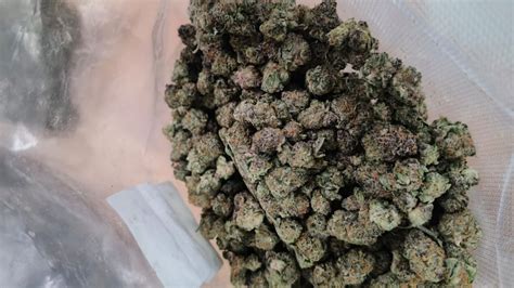 थाइलैंड से जयपुर आया 1 करोड़ रुपये की नशे की खेप, इंटरनेशन पार्सल में ...