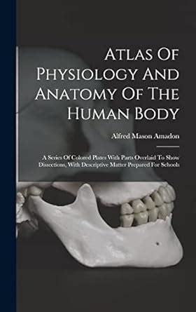 Buy Atlas Of Physiology And Anatomy Of The Human Body: A Series Of ...
