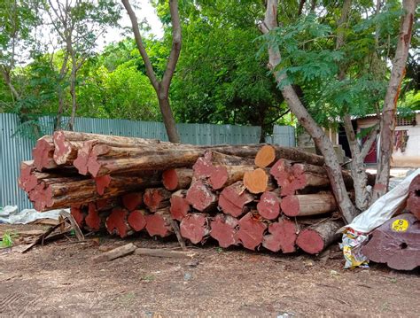 Sri Ganesh Saw Mill