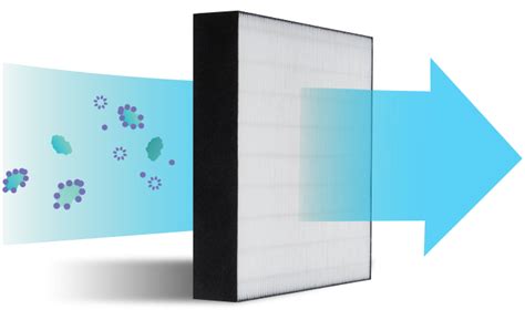 Air Purifier in Delhi, Best Air Purifier for Delhi Pollution, Indoor ...