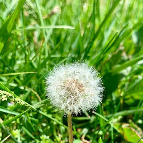 Buy WORKBOOK FOR RADIATION PROTECTION IN MEDICAL RADIOGRAPHY 8ED (PB ...