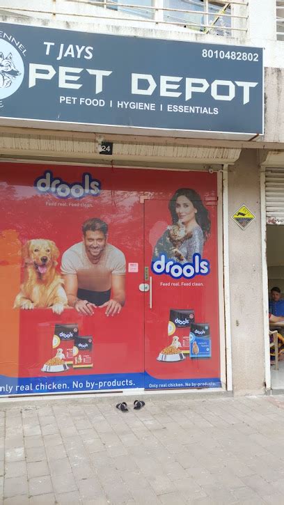 Best Pet Grooming Services in Pune | Find Top Groomers Near You