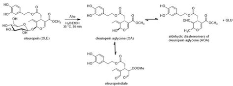 Efficient 2-Step Enzymatic Cascade for the Bioconversion of Oleuropein ...