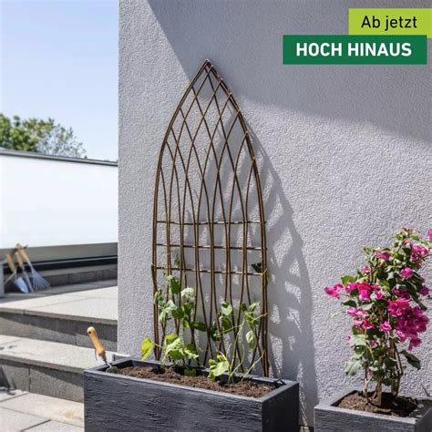 Windhager Weide-Rankgitter „Spitzbogen“ | 55 x 150 cm – Nimmervoll ...