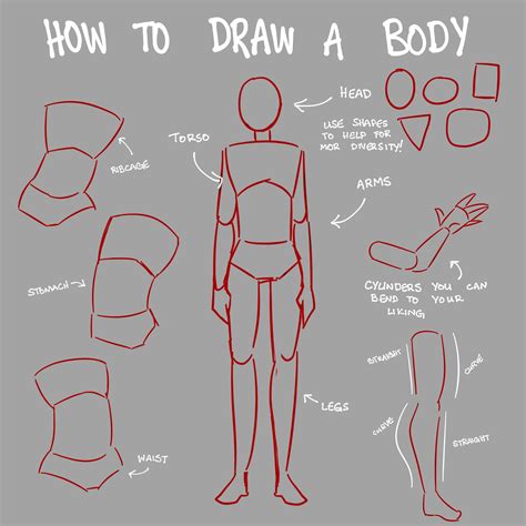 Pin by Just A Pal on Anatomy | Art tools drawing, Sketches tutorial, Art reference