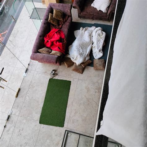 HOTEL MANYAVAR PALACE (Omkareshwar, Madhya Pradesh) - Hotel Reviews ...