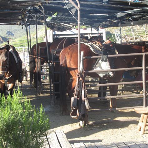 ARIZONA HORSEBACK ADVENTURES AT SPUR CROSS (2025) All You Need to Know ...