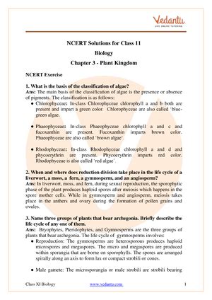 Class 8 Maths Chapter 3 Revision Notes - Revision Notes Class 8 ...