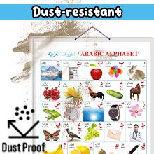 Buy Pack of 2 Action Words and Arabic (Arabic) Educational charts with ...