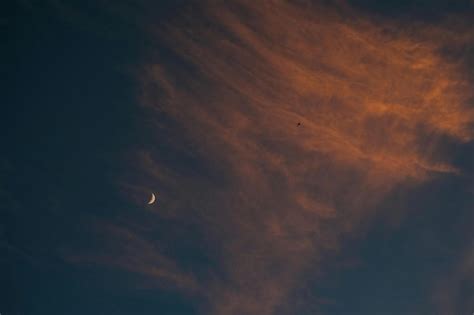 Celestial wonder the moon illuminates the night skys secrets | Premium ...
