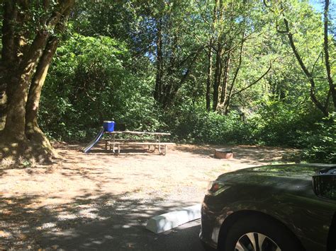Alfred A. Loeb State Park Campground | Brookings, Oregon