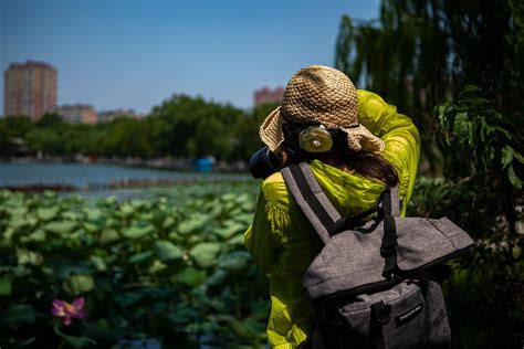 Photographer Back View 的图像结果