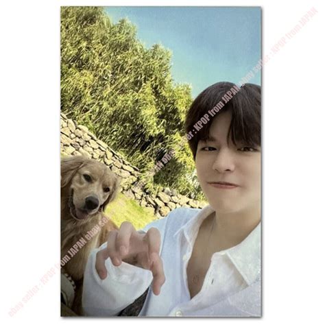 Seungmin Stray kids Stay in STAY in JEJU Official | Ubuy India