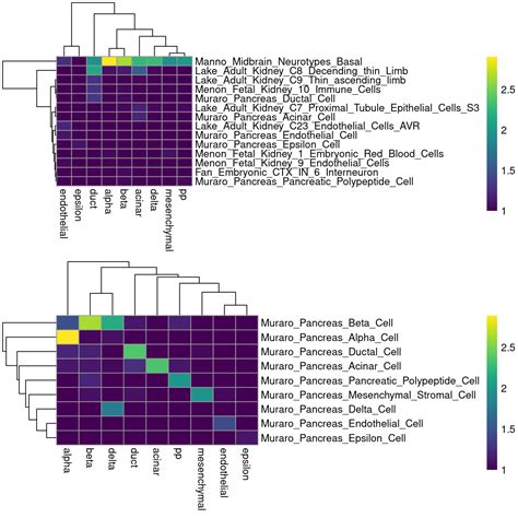 Image result for Cell Annotation