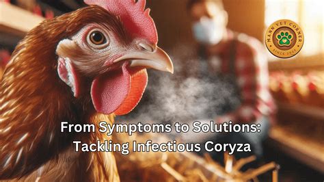 From Symptoms to Solutions: Tackling Infectious Coryza - mannvetcorner