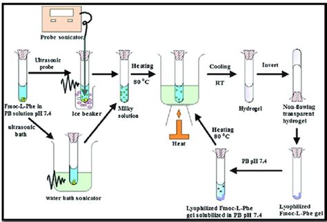 Design, characterization and evaluation of hydrogel based Timolol ...