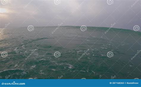 Surfing 的图像结果