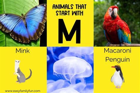 Facts - Easy Family Fun- Print-and-Play Family Fun Hub