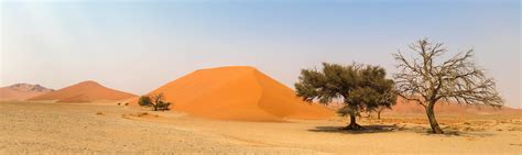 Free Images : landscape, nature, dry, africa, national park, trees, sandy, plateau, habitat ...