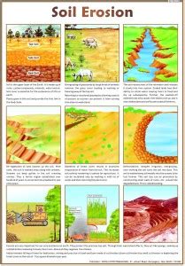 Environment Chart - Soil Erosion Photographic Paper - Educational ...