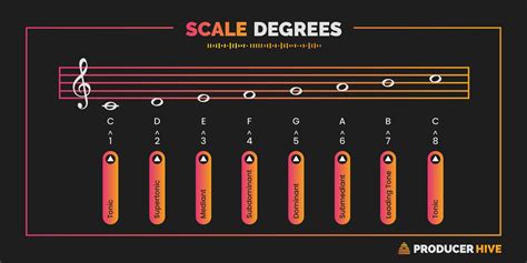 Scale Degree Names