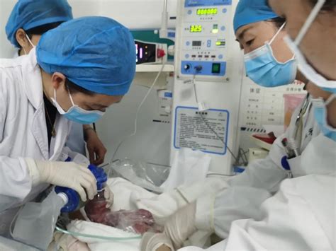 患者在新生儿ICU监护照片摄影图片_ID:161768085-Veer图库