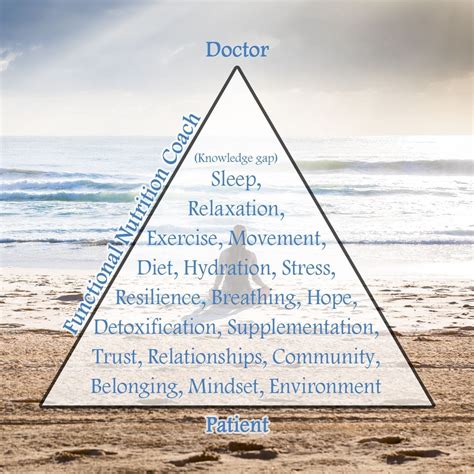 Image result for Functional Nutrition Programs