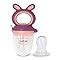 Buy LuvLap Silicone Food/Fruit Nibbler with Extra Mesh, Soft Pacifier ...