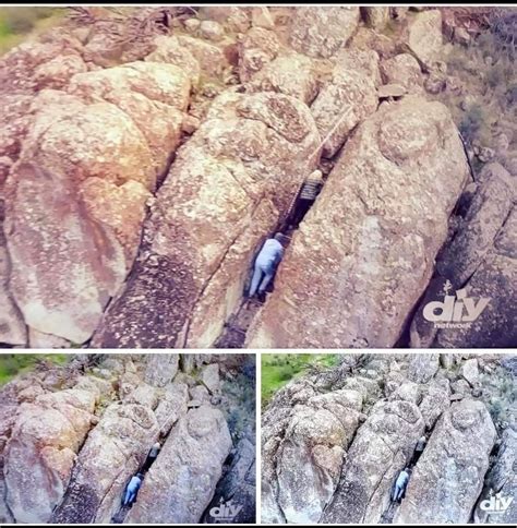 Mud Fossil Foot in 2020 | Nephilim giants, Ancient discoveries, Nephilim