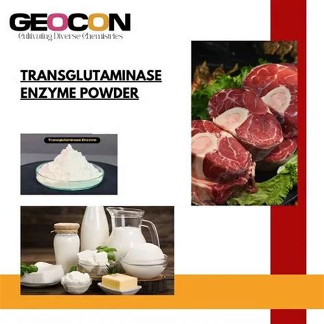 Food Enzymes - Soy Tofu Enzyme Service Provider from Mumbai