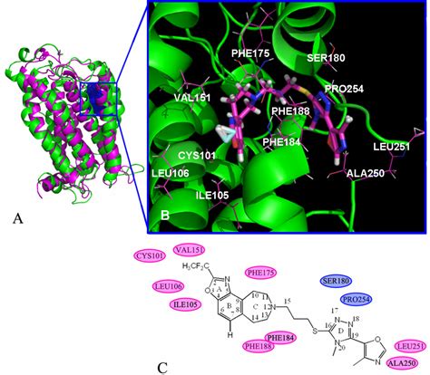 Studies of New Fused Benzazepine as Selective Dopamine D3 Receptor ...