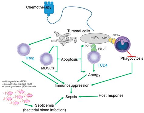 Antibiotic-Resistant Septicemia in Pediatric Oncology Patients Associated with Post-Therapeutic ...