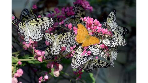 Latest News, Breaking News, Today Headlines, India News, Mumbai News ...